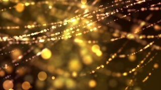 Glittery Spider Web Loop - Video HD