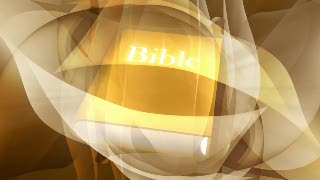 Golden Bible Loop - Video HD