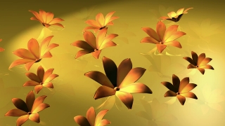 Golden Flowers Loop - Video HD