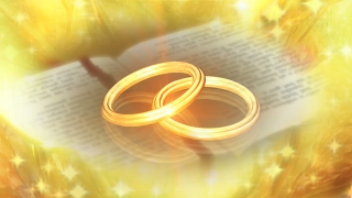 Golden Rings over Book Loop - Video HD