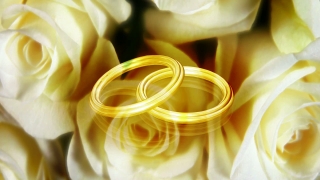 Golden Wedding Rings and Flowers Loop - Video HD