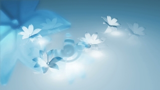 Light Blue Flowers Loop - Video HD