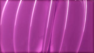 Pink Shells Dancing Loop - Video HD