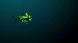 Premium HD Video Clip, HD Motion Graphics, Green Screen, Background, Animation, Download