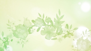 Premium HD Video Clip, HD Motion Graphics, Green Screen, Background, Animation, Download