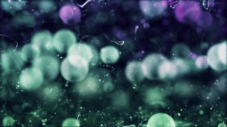 Premium HD Video Clip, HD Motion Graphics, Green Screen, Background, Animation, Download