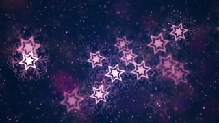Purple Snowflakes Spin Loop - Video HD