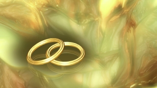 Romantic Wedding Rings Loop - Video HD
