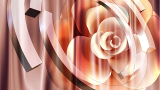 Rose Spinning  with Accesories Loop - Video HD