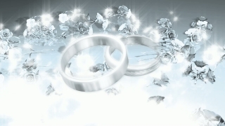 Silver Roses and Wedding Rings Loop - Video HD