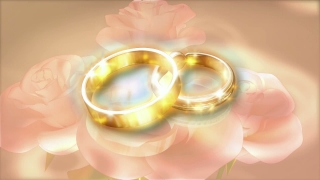 Sparkling Rings and Roses Loop - Video HD