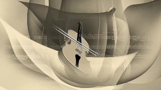 Violin Spins Animation Transition - Video HD