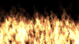 Wall of Fire Loop - Video HD